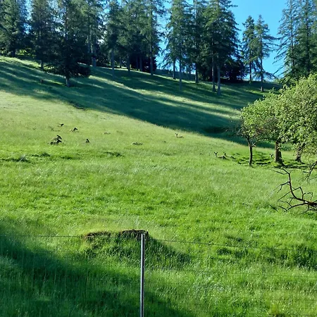 Nyaraló Sommerholz *