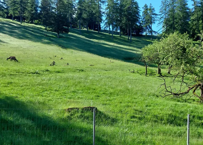 Nyaraló Sommerholz *