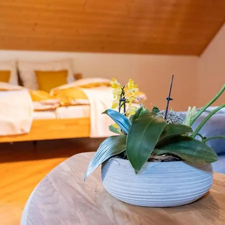 Sommerholz בית נופש Gmundnerberg